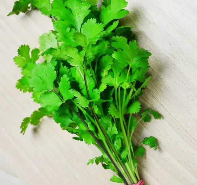 Image Of Coriander Benefits