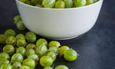 Image Of Gooseberry Benefits