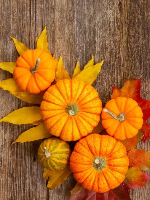 Image Of Pumpkin Benefits