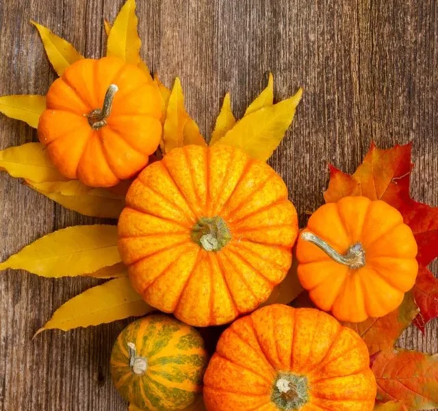 Image Of Pumpkin Benefits