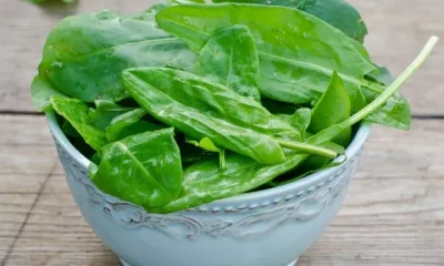 Image Of Spinach Benefits