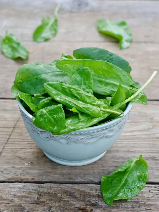 Spinach Benefits: ಪಾಲಕ್‌ ಸೊಪ್ಪಿನ ಸತ್ವಗಳು ಅಂತಿಂಥವಲ್ಲ!