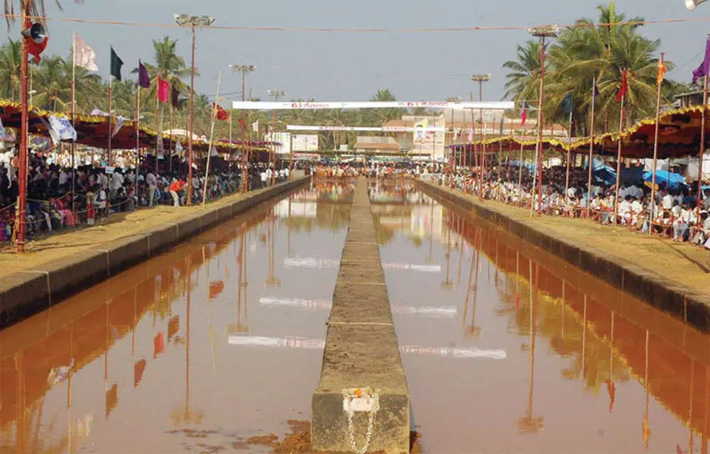 Kambala Scene from Coastal