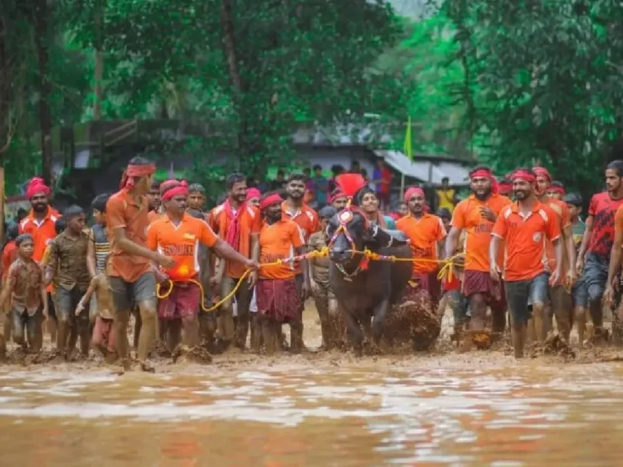 Kambala Beauty