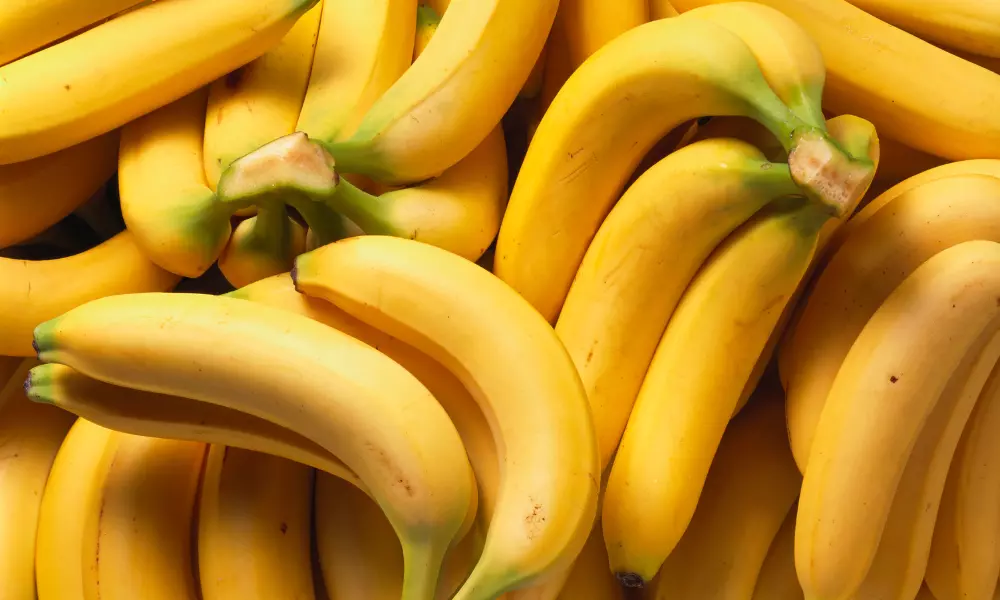 Pile of Bananas in Close Up