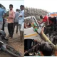 Road Accident in Karwar and Bagalkote