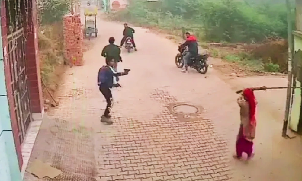 Viral Video, Haryana woman with broom chases away shooters