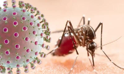 After Raichur Zika virus detected in Chikkaballapura