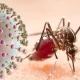 After Raichur Zika virus detected in Chikkaballapura