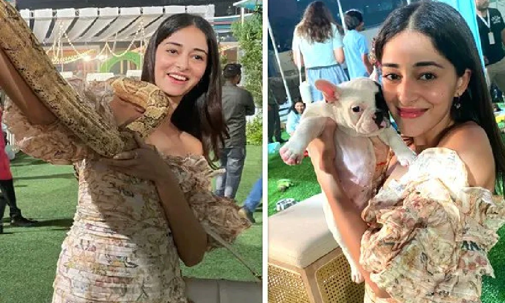 ananya pandays definition of heaven is puppies and snakes