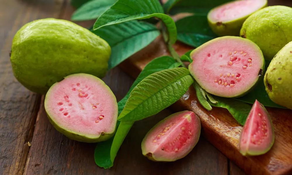 guava fruits