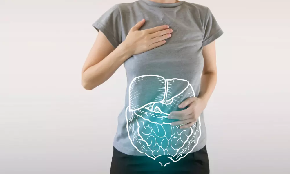 healthy internal organs of human digestive system / highlighted blue organs