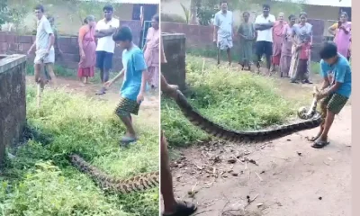 Python catch video
