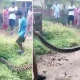 Python catch video