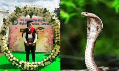 Snake bites student who came for convocation