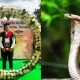 Snake bites student who came for convocation