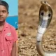 Boy dies of snake bite