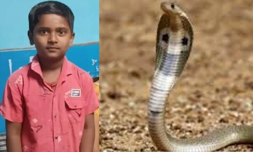 Boy dies of snake bite