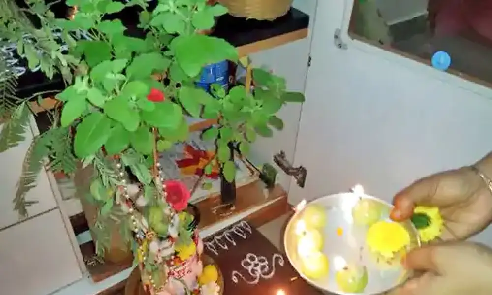 Tulsi pooja