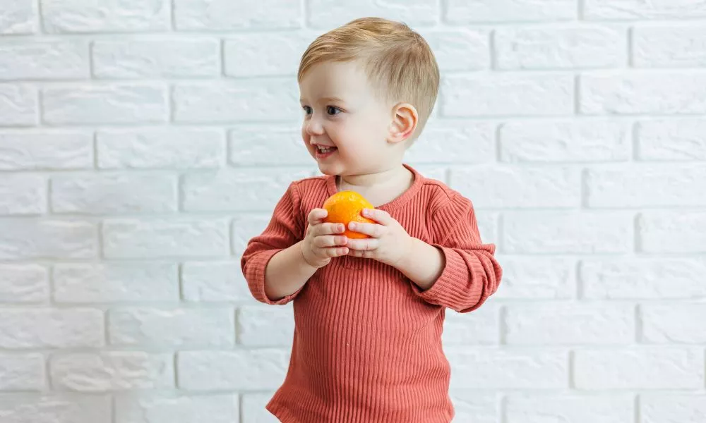 A Small Child 2 Years Old Holds an Orange Citrus Fruit in His Hands