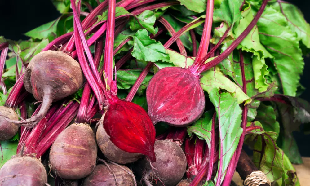 Beetroot