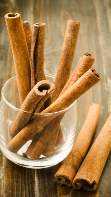 Cinnamon sticks Anti Infective Foods