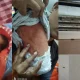 Cockroaches bite baby born 2 days ago in vanivilas hospital