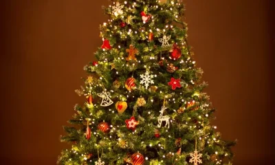 Do You Know How To Decorate Christmas Tree