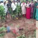 Farmer killed in elephant attack
