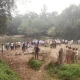 Five members drowned in Shalmala river at sirsi