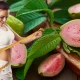 Guava For Weight Loss