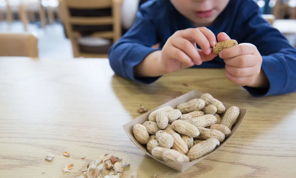 Little boy eating peanuts