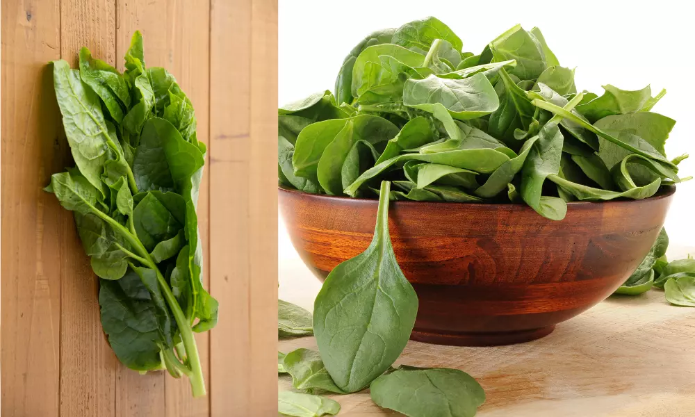 Malabar spinach and spinach
