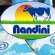 Nandini milk price hiked again and When
