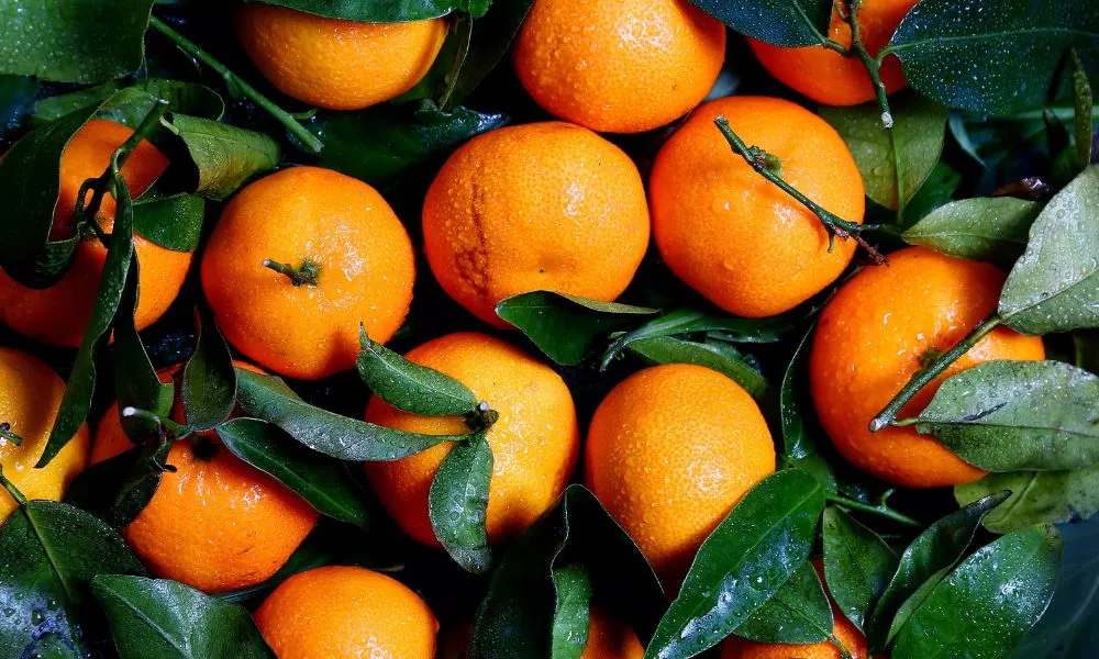 Orange Varieties