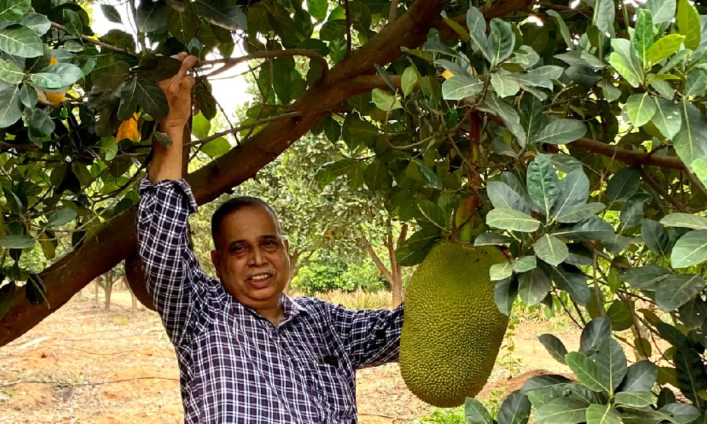 Ramesh Nayak Billionaire farmer