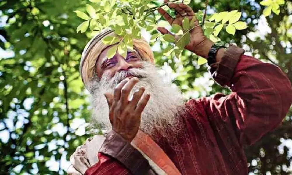 Sadghuru planting a tree