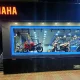 India Yamaha Motor pvt opened new blue Square show rooms
