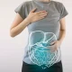 ealthy internal organs of human digestive system / highlighted blue organs