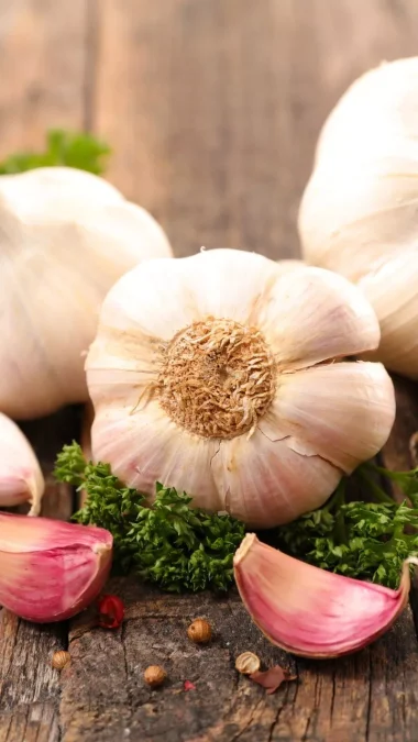 garlic Anti Infective Foods