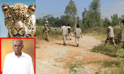 in bengaluru rural man was missing. leopard attack
