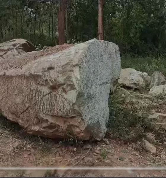 ram lalla idol stone