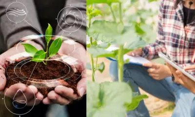 Agriculture Startup Rs 50 lakh in agri start up debt 50 percent off