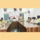 Araseikere Dandi Durugamma jatra Peace meeting