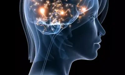 Brain Exercises To Improve Memory Image