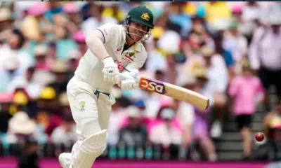 David Warner