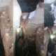 Man falls into well after coming to Udupi Sri Krishna Mutt
