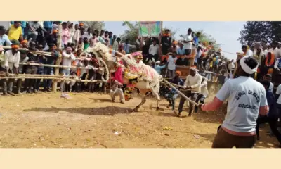 Hori festival in halesoraba village