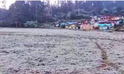This Place In Tamil Nadu Is Freezing At Near Zero Degrees. Experts Worried