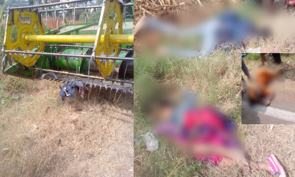Bike collides with lorry of paddy harvesting machine in Kollegal Three dead in road accident